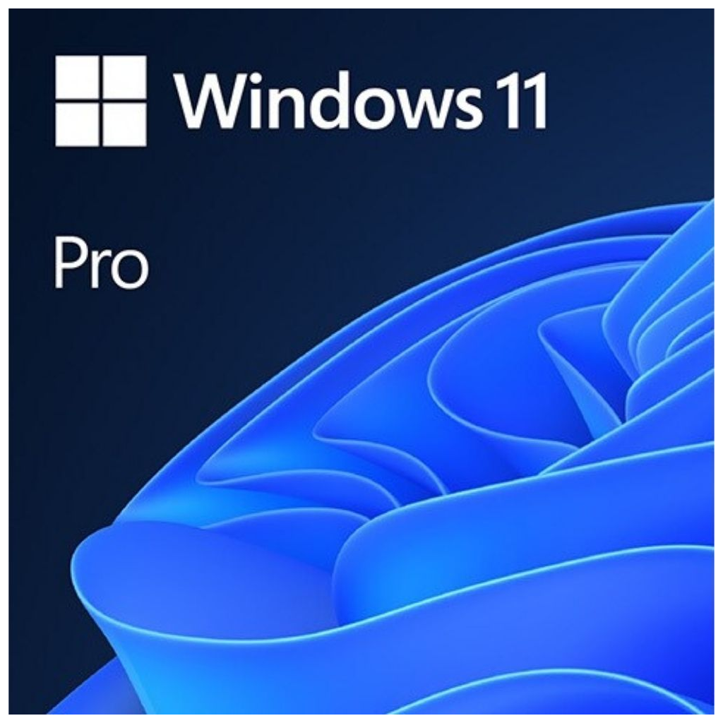 Windows 11 Professional Elektronik Lisans