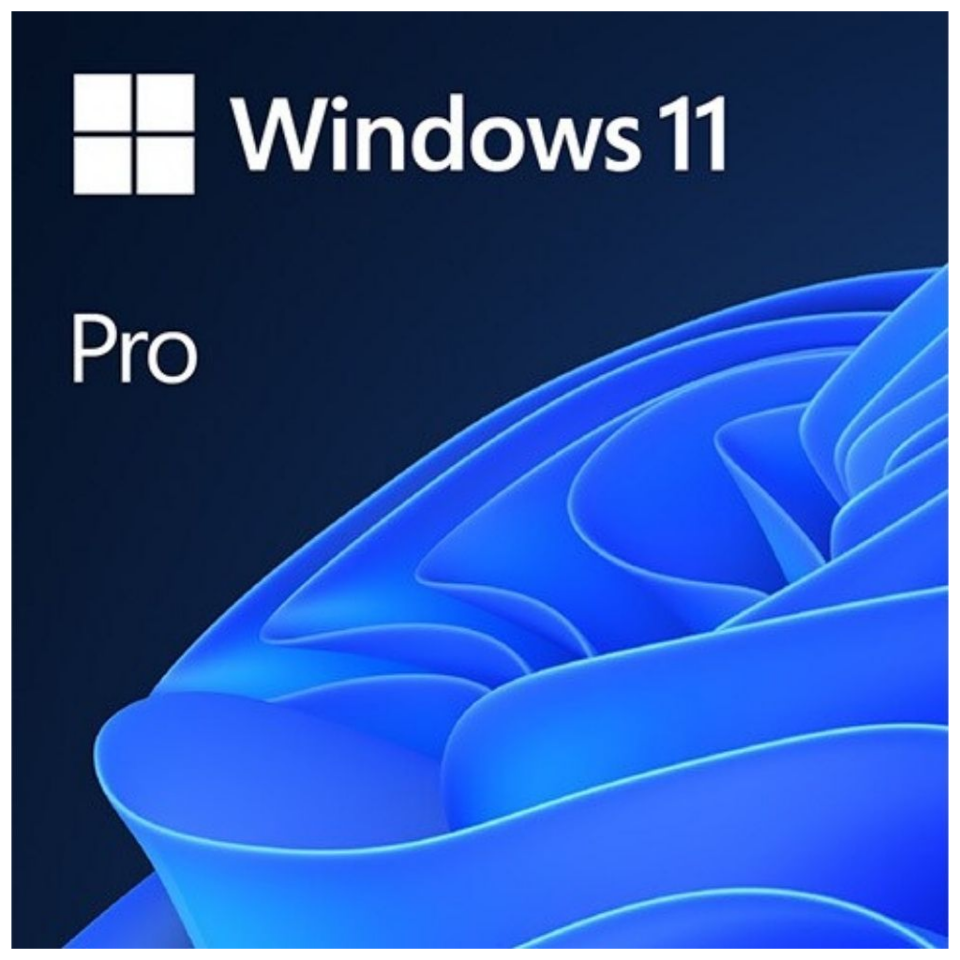 Windows 11 Professional Elektronik Lisans