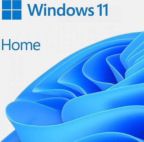 Windows 11 Home Elektronik Lisans