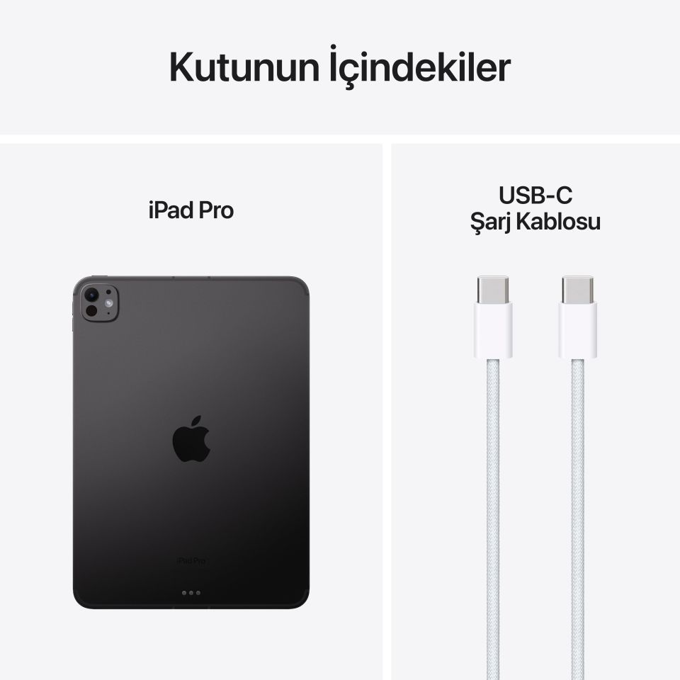 iPad Pro 11 inç M4 Wi-Fi + Cellular 256 GB Standart Cam Uzay Siyahı